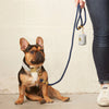 Upcycled Denim Dog Collar